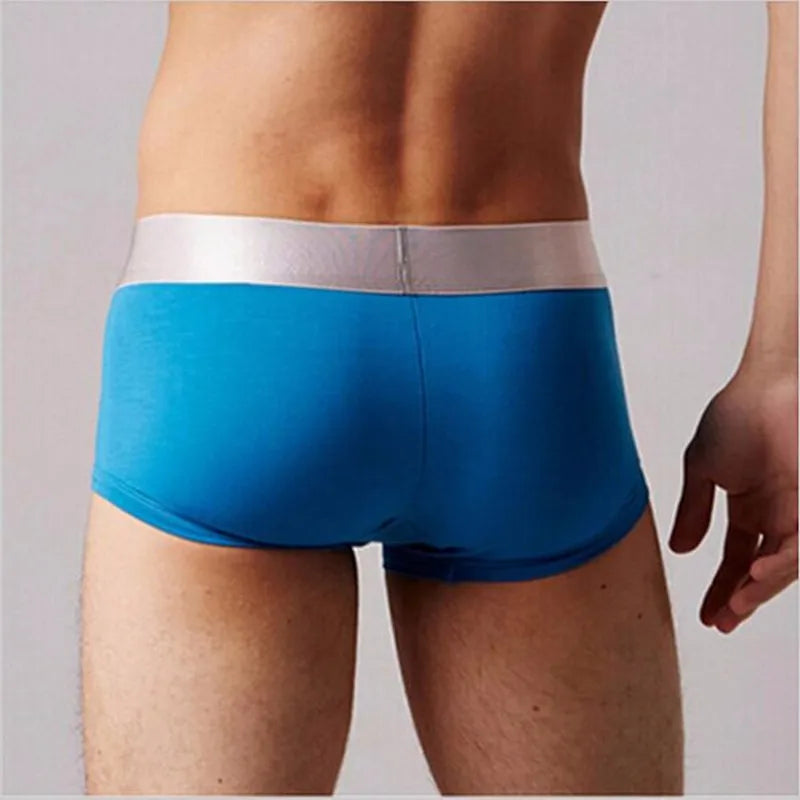Brand Mens Underwear Boxers Men's Underpants Cotton Sexy Cueca Boxer For Mens Shorts Panties Plus Size Calzoncillos boxeador 4XL