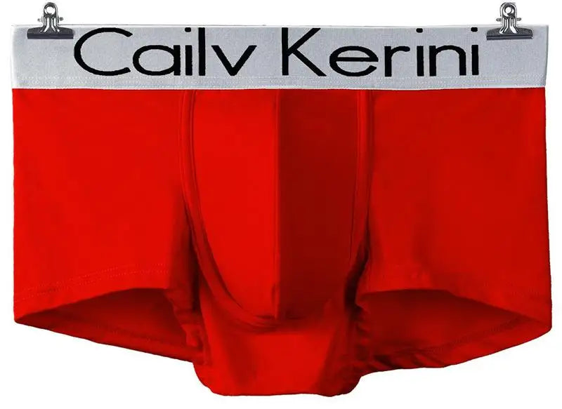 Brand Mens Underwear Boxers Men's Underpants Cotton Sexy Cueca Boxer For Mens Shorts Panties Plus Size Calzoncillos boxeador 4XL