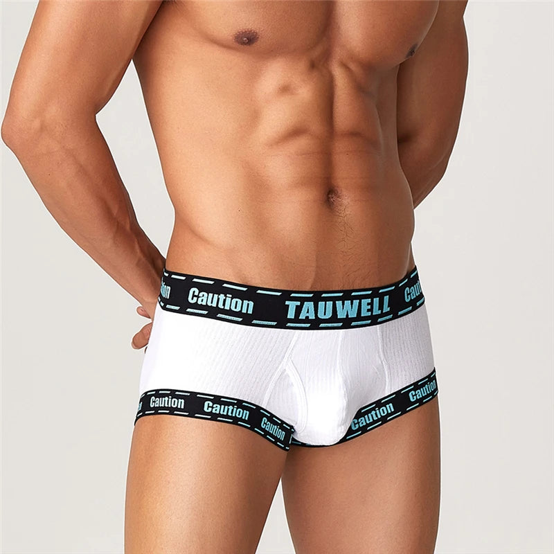 Boxers For Men  Underpants Mens Underwear Briefs Boxerhomme anime panties