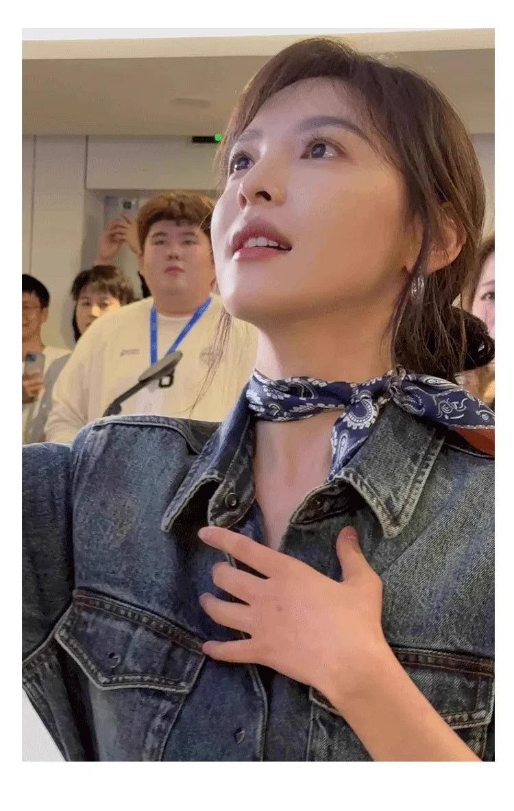 Silk scarf women's 2025 spring and summer new fashion high-end sense retro neck small square scarf accessories